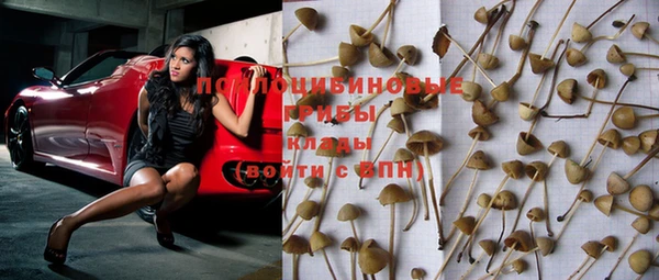 МДПВ Заводоуковск